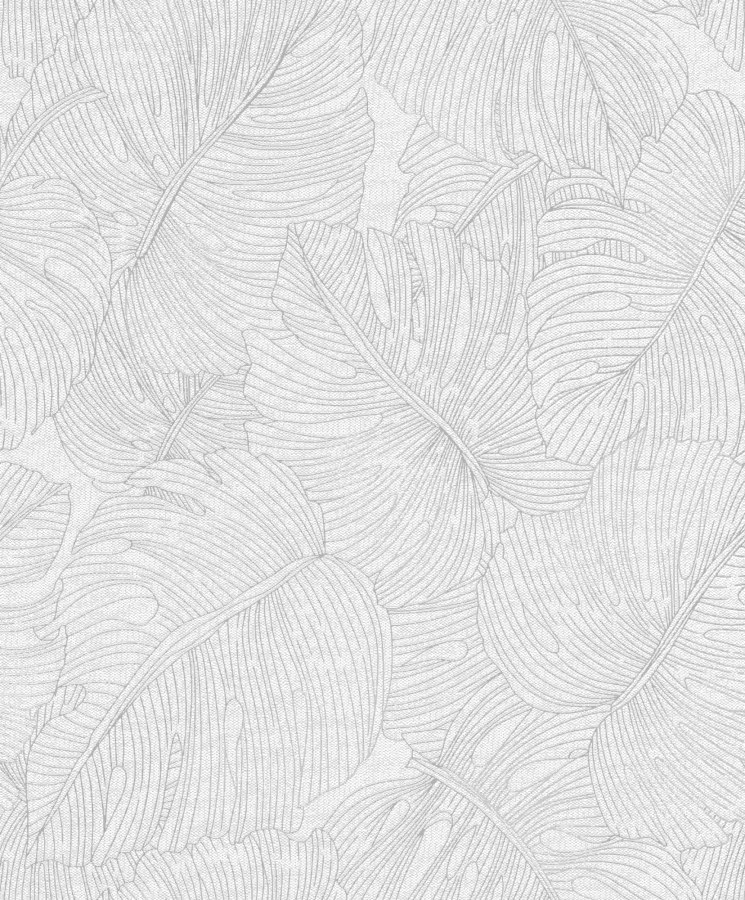 RASCH 794809 - Beltesto