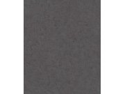 Vliesová tapeta na zeď Beltesto 520927 | Lepidlo zdarma Tapety Rasch - Tapety Beltesto