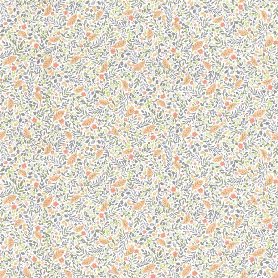 RASCH 795011 - Beltesto