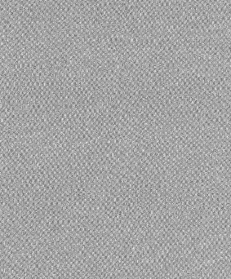 RASCH 633665 - Beltesto