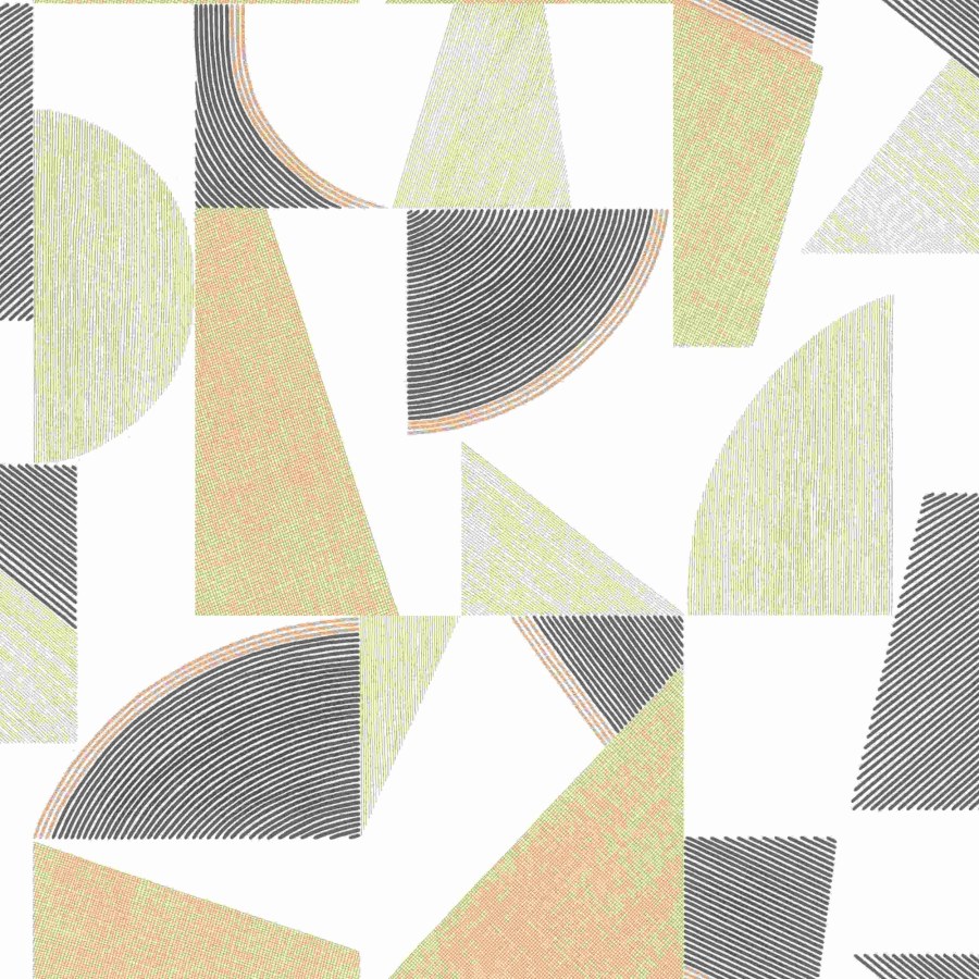 RASCH 793611 - Beltesto