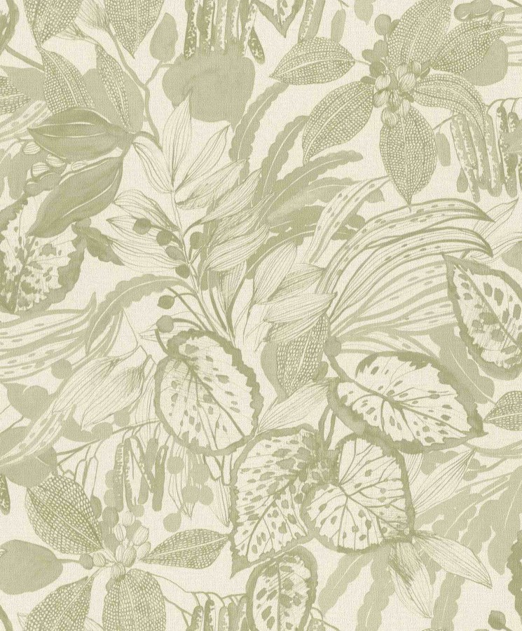 RASCH 554922 - Liverna