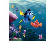 Fototapeta AG Nemo & Dory FTDXL-1932 | 180x202 cm Fototapety pro děti