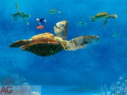 Fototapeta AG Nemo FTDNXXL-5034 | 360x270 cm Fototapety pro děti