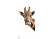 Vliesová fototapeta Pohled Žirafy FTNV-2851 | 90x202 cm Fototapety vliesové - Vliesové fototapety AG