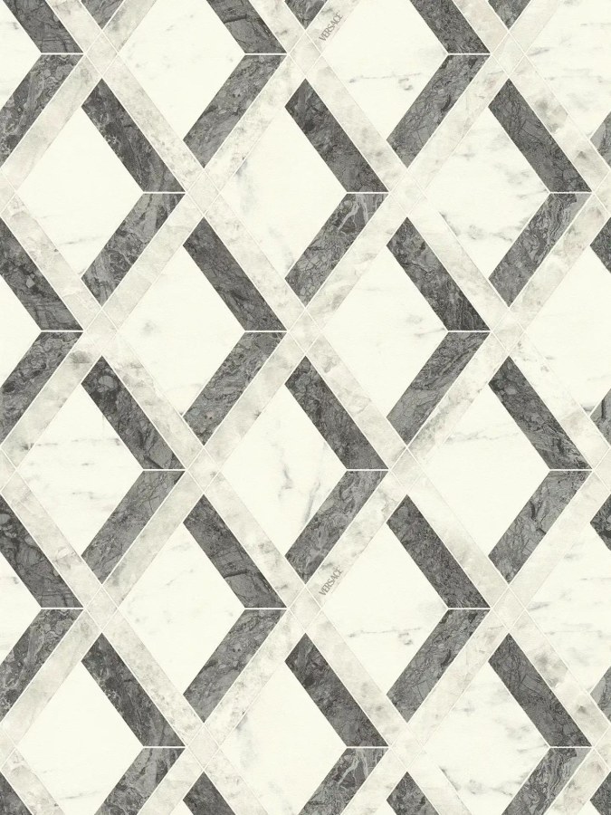 Vliesová tapeta na zeď Versace 6 79133-3 - Versace 6