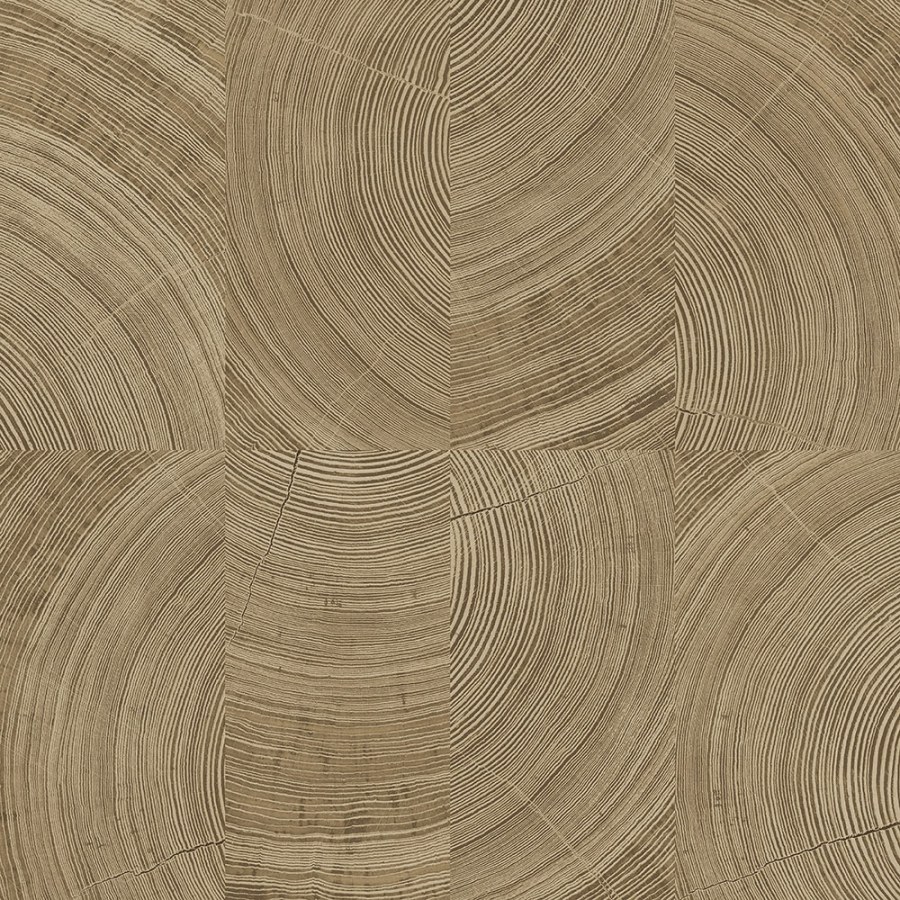 Hnědo-béžová vliesová tapeta na zeď, imitace dřevěného obkladu, A69102, Vavex 2026 - Vliesové tapety