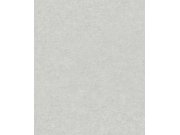 Tapety Yara Tapety dle materiálu Vliesové tapety - Šedá vliesová tapeta na zeď, imitace omítky, A65602, Vavex 2025 Šedá vliesová tapeta na zeď, imitace omítky, A65602, Vavex 2025