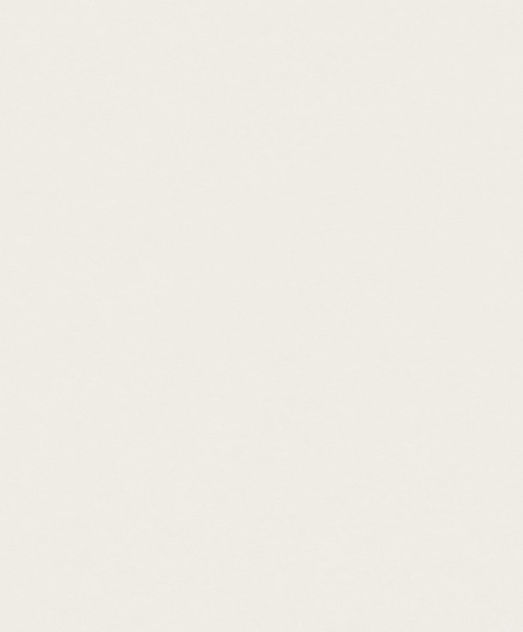 Tapety Yara - Tapety dle materiálu - Vliesové tapety - Bílá vliesová tapeta na zeď, imitace omítky, A65601, Vavex 2025 Bílá vliesová tapeta na zeď, imitace omítky, A65601, Vavex 2025 - Vliesové tapety