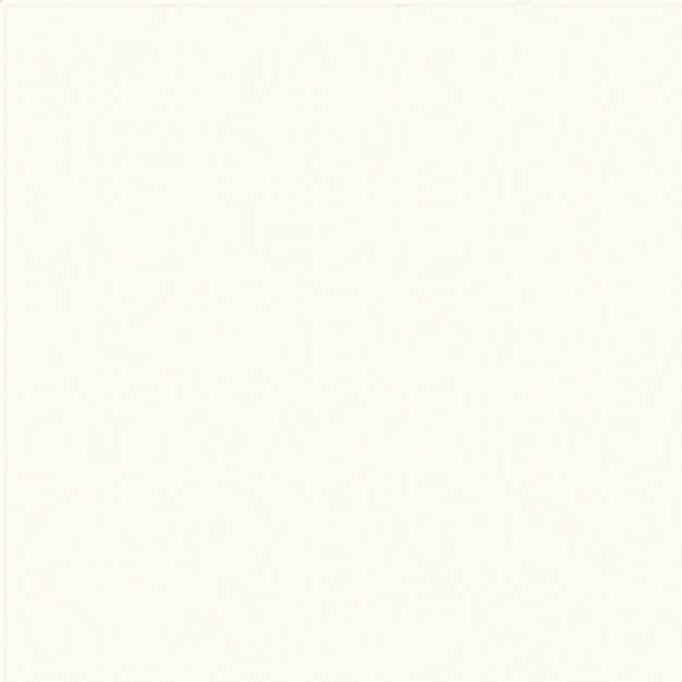 Bílá papírová aranžerská tapeta na zeď, 1112000 Old Friends II, Vavex 2025