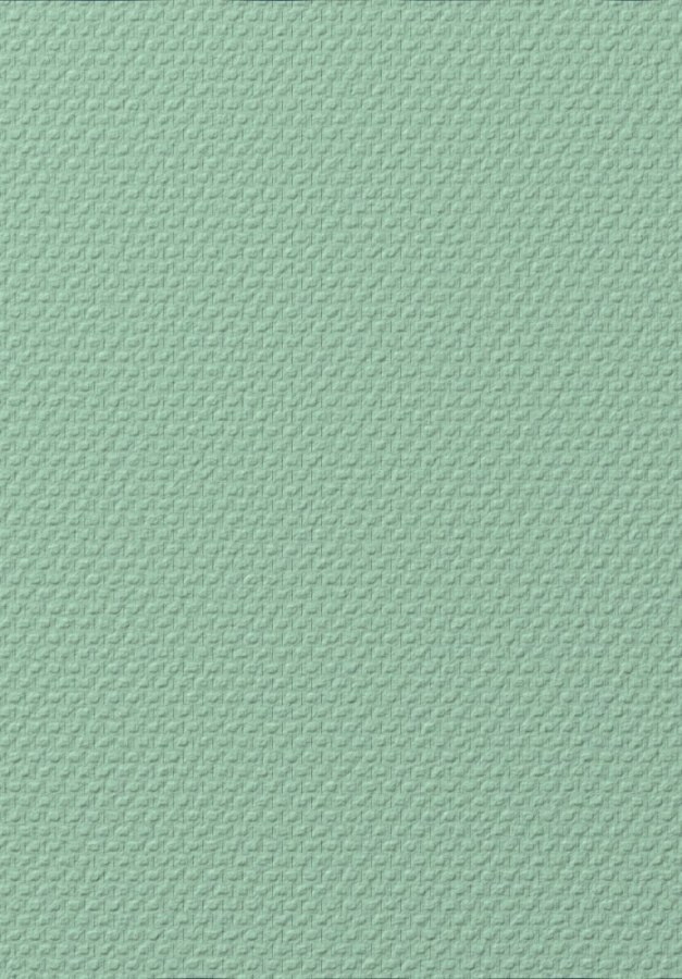 Přetíratelná sklovláknitá tapeta T1010, Old Friends II, Vavex 2025 - Přetíratelné tapety