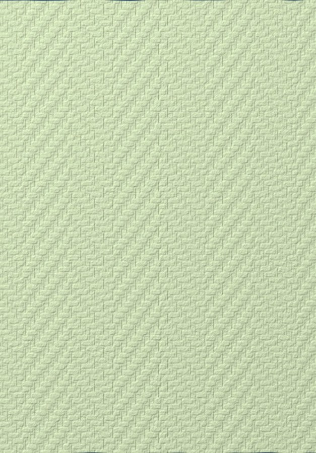 Přetíratelná sklovláknitá tapeta T2009, Old Friends II, Vavex 2025 - Přetíratelné tapety