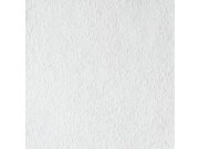 Přetíratelná tapeta na zeď, Pestrukta Light, dřevovláknitá tapeta Old Friends II, Vavex 2025 Tapety Yara - Tapety dle materiálu - Přetíratelné tapety