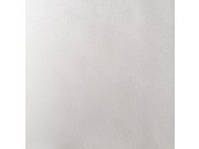 Tapety Yara Tapety dle materiálu Papírové tapety - Papírová tapeta na zeď Imitace omítky 2001700 Old Friends II, Vavex 2025 Papírová tapeta na zeď Imitace omítky 2001700 Old Friends II, Vavex 2025