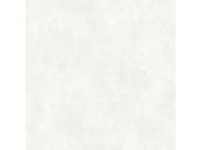 Vliesová tapeta na zeď, bílo-šedá, štuk, beton, TJ3003, Finest Selection, Vavex