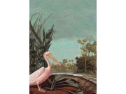 Vliesová obrazová tapeta - ptáci, pelikán, příroda 158948, 200x279cm, Paradise, Esta