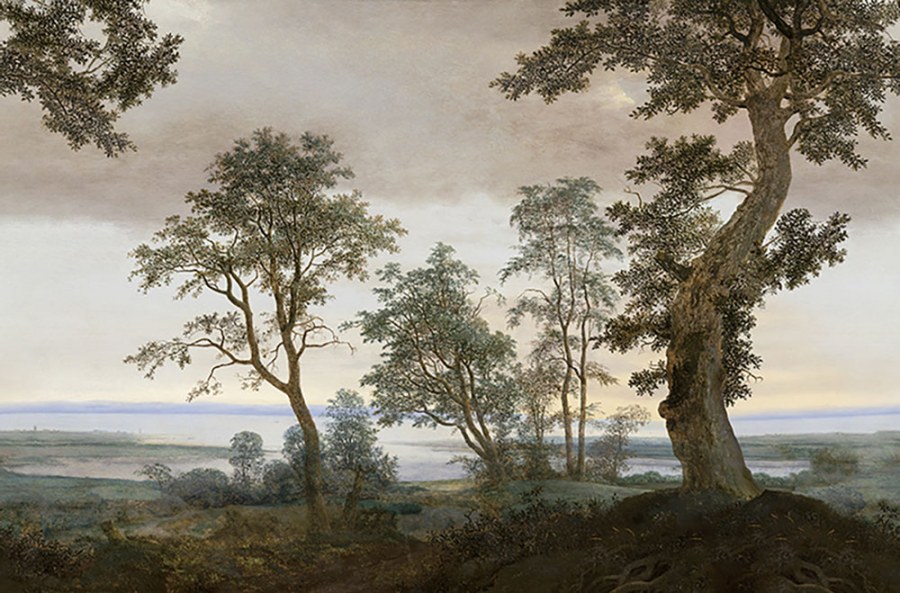 Vliesová fototapeta na zeď, stromy, krajina, 351290, Magnifique, Eijffinger Vliesová fototapeta na zeď, stromy, krajina, 351290, Magnifique, Eijffinger