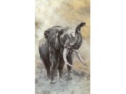 Vliesová fototapeta na zeď, slon, 33099, Travertino, Marburg