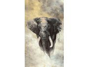 Vliesová fototapeta na zeď, slon, 33098, Travertino, Marburg