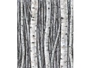 Vliesová tapeta na zeď, šedo-modrá, stromy, březový háj, 35397, Timber, Marburg