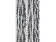 Vliesová fototapeta na zeď, šedo-modrá, stromy, březový háj, 35395, Timber, Marburg