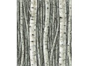 Tapety Yara Tapety dle materiálu Vliesové tapety - Vliesová tapeta na zeď, zelená, stromy, březový háj, 35380, Timber, Marburg Vliesová tapeta na zeď, zelená, stromy, březový háj, 35380, Timber, Marburg