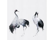 Vliesová fototapeta na zeď, ptáci, volavky, 34593, Kumano, Marburg