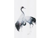 Vliesová fototapeta na zeď, ptáci, volavky, 34596, Kumano, Marburg