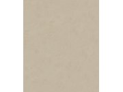 Vliesová tapeta na zeď, hnědo-béžová, štuk, beton, 34630, Terra, Marburg