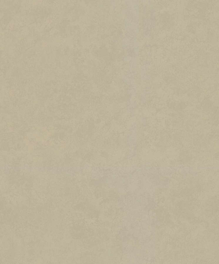 Vliesová tapeta na zeď, hnědo-béžová, štuk, beton, 34629, Terra, Marburg - Vliesové tapety