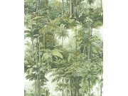 Vliesová tapeta na zeď, zelená, palmy, džungle, 127914, Arboretum, Graham Brown Premium