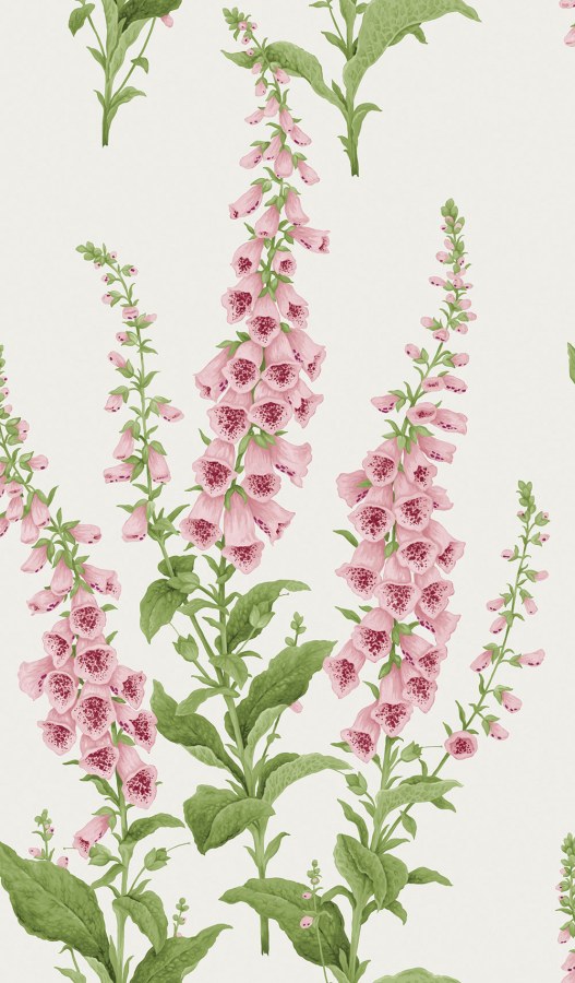 Vliesová tapeta na zeď, krémová, květiny, 130307, Concerto, Graham Brown Premium - Vliesové tapety