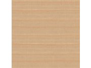 Vliesová tapeta na zeď, hnědá, pruhy, 32434, Vitalis, Parato by Cristiana Masi