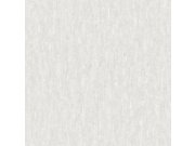 Vliesová tapeta na zeď, šedá, beton, štuk, 38716, Borosan Bas, Borastapeter Tapety Yara - Borastapeter