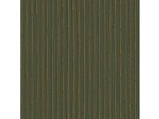 Luxusní vliesová tapeta na zeď, zelená, pruhy, Z30327, Casa 8, Trussardi 