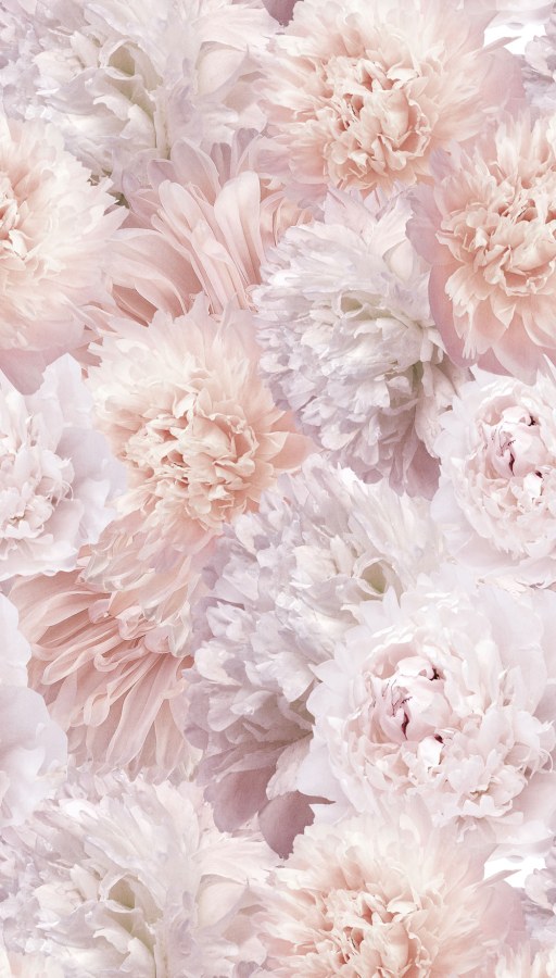 Vliesová fototapeta na zeď, květiny, A77501, One roll, one motif 2, Grandeco - Vliesové tapety