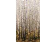 Vliesová fototapeta na zeď, Stromy, Les, A42601, One roll, one motif 2, Grandeco