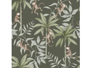 Tapety Yara Tapety dle materiálu Vliesové tapety - Vliesová tapeta na zeď, hnědo-černá, džungle, opice, 6935, Newbie Wallpaper, Borastapeter Vliesová tapeta na zeď, hnědo-černá, džungle, opice, 6935, Newbie Wallpaper, Borastapeter