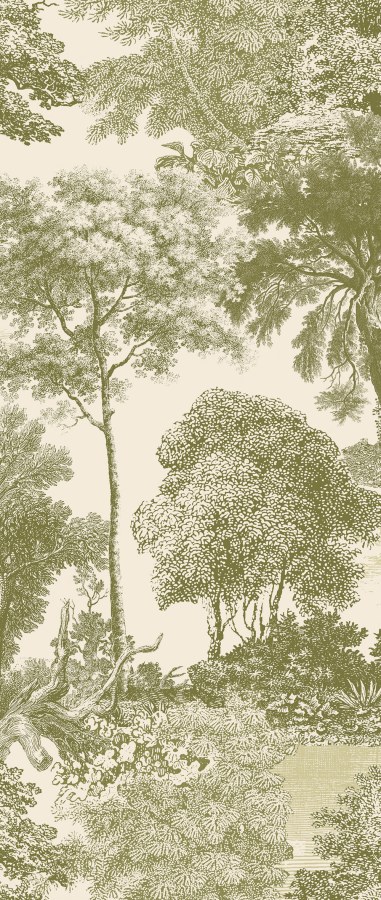 Vliesová obrazová tapeta na zeď, zelená, les, stromy, DGSAL1032-300, Amazone, Masureel - Vliesové tapety