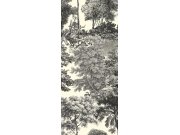 Vliesová obrazová tapeta na zeď, černá, les, stromy, DGSAL1014-300, Amazone, Masureel