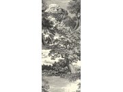 Vliesová obrazová tapeta na zeď, černá, les, stromy, DGSAL1013-300, Amazone, Masureel