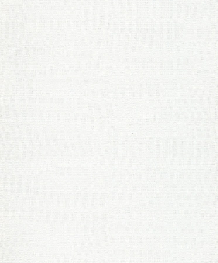 Vliesová tapeta na zeď, bílá, WIL701, Romance, Aquila, Khroma by Masureel Vliesová tapeta na zeď, bílá, WIL701, Romance, Aquila, Khroma by Masureel