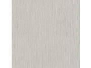 Vliesová tapeta na zeď, šedo-stříbrná, textura, 25792, The Best Classic & Elegant, Cristiana Masi by Parato