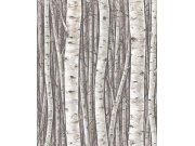 Vliesová tapeta na zeď, šedo-hnědá, stromy, březový háj, 35394, Timber, Marburg