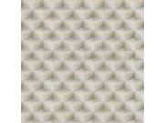 3D geometrická vliesová tapeta na zeď, šedo-stříbrná, 20021, New Tekko, Emiliana Parati