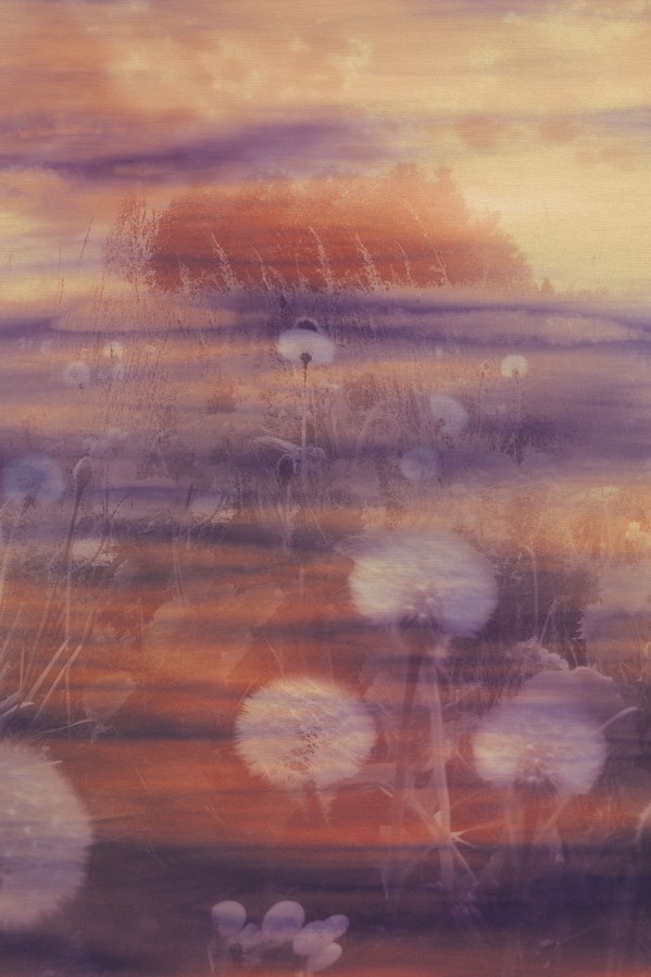 Tapety Yara - Tapety dle materiálu - Vliesové tapety - Vliesová obrazová tapeta na zeď, Krajina, 73898, Tendenze, Emiliana Parati Vliesová obrazová tapeta na zeď, Krajina, 73898, Tendenze, Emiliana Parati - Vliesové tapety