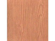 Papírová tapeta Dřevo 5122007 Old Friends II, Vavex