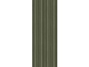 Vliesová obrazová tapeta na zeď, 3D imitace lamel, zelená, FW4043-4, Feature Walls, Decoprint