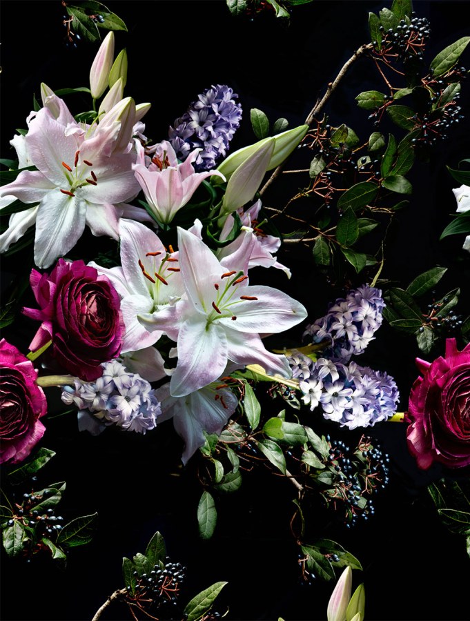 Vliesová fototapeta na zeď, květiny, FW4065-1, Feature Walls, Decoprint - Vliesové tapety