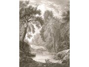 Tapety Yara Decoprint - Vliesová obrazová tapeta na zeď, hnědo-šedá, les, stromy, FW4019-2, Feature Walls, Decoprint Vliesová obrazová tapeta na zeď, hnědo-šedá, les, stromy, FW4019-2, Feature Walls, Decoprint